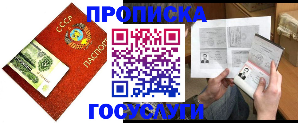 временная регистрация купить в Камчатской области